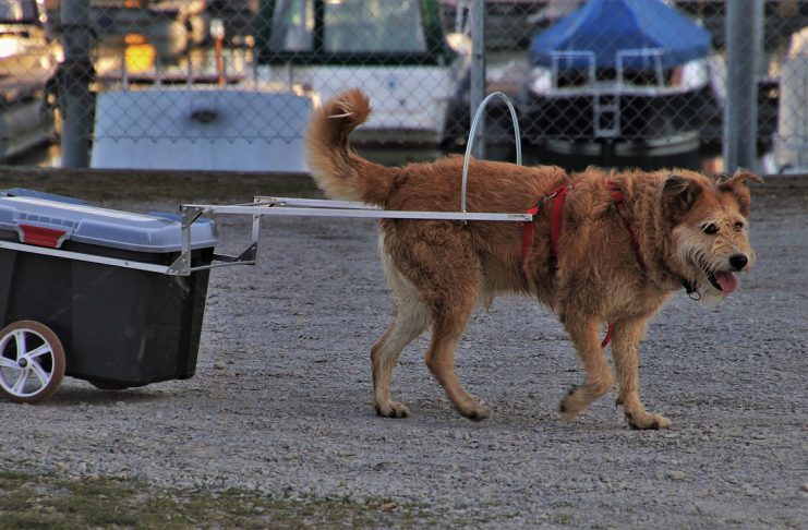 HAPERT CHECKLIST: VEILIG OP VAKANTIE MET AANHANGWAGEN