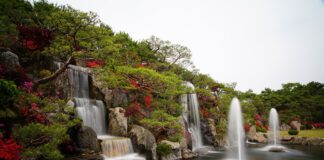 Hoe kun je de perfecte tuinkamer ontwerpen?