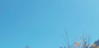 Worden er veel activiteiten georganiseerd buiten tijdens de koudere dagen in februari zoals sportevenementen shows of festivals?