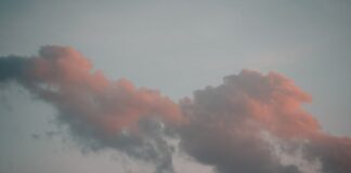 Welke activiteiten zou jij willen doen als het volgende week goed weer is?