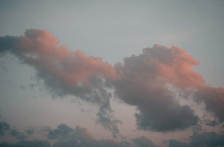 Welke activiteiten zou jij willen doen als het volgende week goed weer is?