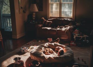 Begrijp de lichaamstaal van je hond