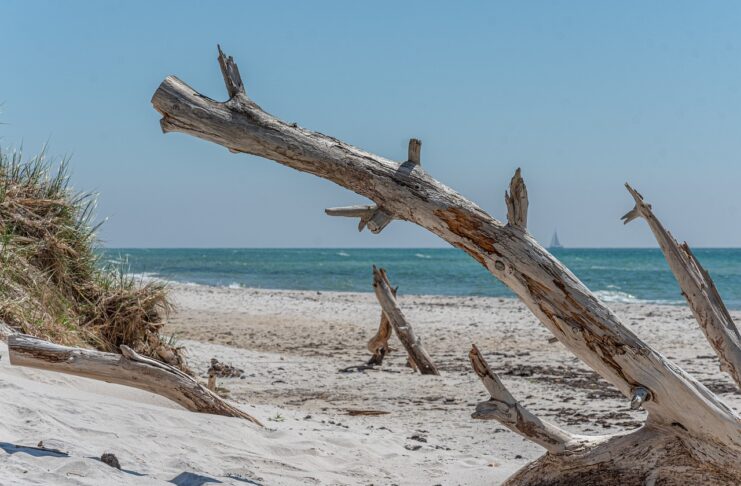 Zwembroek: jouw essentiële strandaccessoire